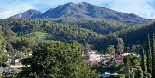 Nikmati Libur Panjang, 12 Mahasiwa Universitas Brawijaya Malang Dikabarkan Hilang di Gunung Lawu