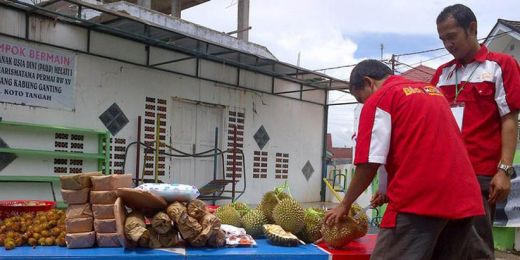 Di Kabung Ganting, Siap Mencoblos Bisa Bawa Durian Gratis