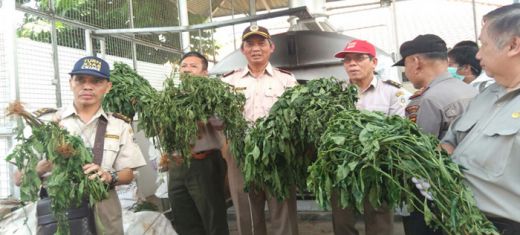Ini Jawaban Resmi Pemerintah Cina Soal Warganya yang Menanam Cabai Berbakteri di Indonesia
