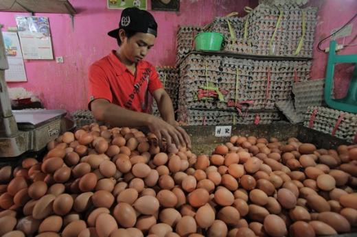 Harga Telur di Pasar Raya Padang Naik Sejak 10 Hari Terakhir, Omzet Pedagang Turun