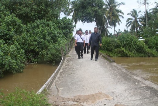 Bupati Padang Pariaman Tinjau Jembatan Kampung Pauh yang Miring