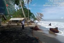 Dilanda Gelombang Pasang, 700 Rumah Sepanjang Pantai Tiku Agam Terancam Abrasi