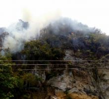 Kawasan Hutan Lembah Harau Limapuluh Kota Masih Terbakar, BPBD Kesulitan Padamkan Api