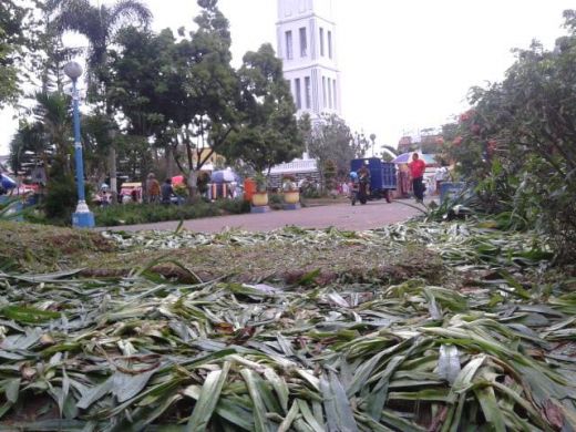 Supadria: Kerusakan Ribuan Tanaman Bunga di Jam Gadang Adalah Konsekuensi Sebagai Kota Pariwisata