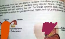 Venna Melinda: Kemendikbud Harus Tarik Buku Pelajaran SD Vulgar di Pasaman