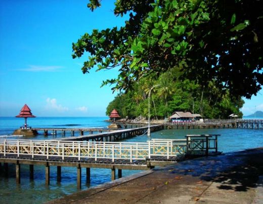 DKP Pesisir Selatan Kembangkan Kawasan Wisata Melalui Program Penghijauan Pantai