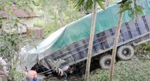 Diduga Rem Blong, Truk Semen Terguling Masuk Sawah di Solok, Sopirnya Tewas
