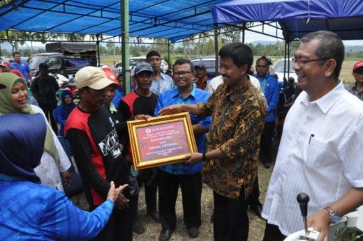 Topang UMKM, Bank Indonesia Sumbar Kembangkan Klaster Holtikultura di Payakumbuh