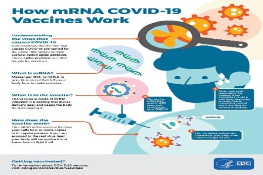Jokowi Senang, Diam-Diam Perusahaan Ini Produksi Vaksin mRNA