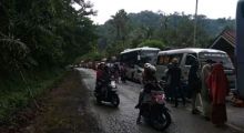 Longsor, Rumpun Bambu Timbun Jalan, Lintas Sumatera Sempat Lumpuh