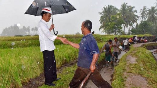 Setelah Dilihat Presiden Jokowi, 150 Irigasi di Sumbar akan Diperbaiki