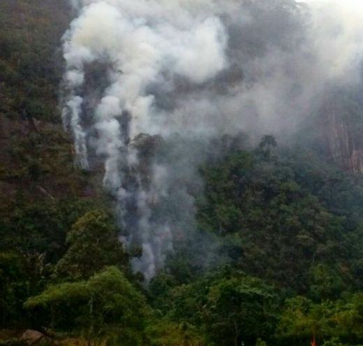 Padamkan Api Kawasan Hutan Wisata Lembah Harau Limapuluh Kota, BNPB Terbangkan Heli Water Bombing