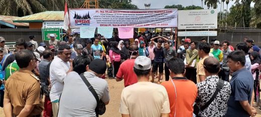 Ratusan Warga Nagari Lubuk Besar Dharmasraya Demo PT TKA