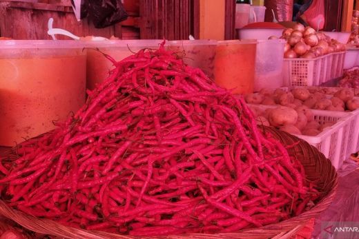 Harga Cabai Merah di Pasar Tradisional Tanah Datar Sumbar Terus Naik
