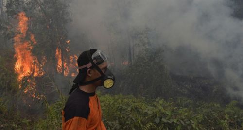 BMKG: Enam Titik Panas Terdeteksi di Sumatera Barat