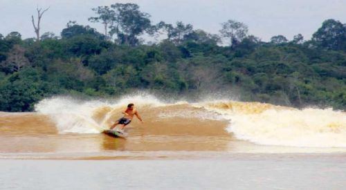 Dihempas Gelombang, Turis Australia Tewas saat Surfing di Mentawai