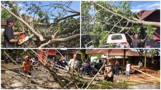 Angin Kencang di Padang, Sejumlah Mobil Tertimpa Pohon Tumbang