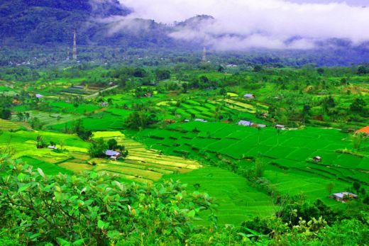 Bupati Muzni Zakaria: Main Pakuak Ditertibkan, Solok Selatan Nyaman Bagi Wisatawan!