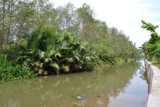 Kanal di Pulau Bangau. (Humas)