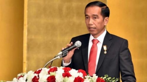 Presiden Joko Widodo: Tidak Ada Lagi Izin Baru Untuk Kelola Gambut