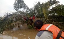 Banjir di Dharmasraya, Satu Bocah Meninggal, 327 Rumah Tergenang dan 300 Hektare Lahan Pertanian Rusak
