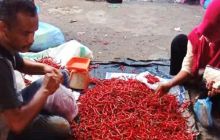 Pasca Lebaran, Harga Cabe Merah di Dharmasraya Masih Mahal hingga Rp60.000 Sekilo