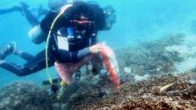 Kado HUT ke-74 RI, Penyelam Sumbar Keruk Sampah di Bawah Laut