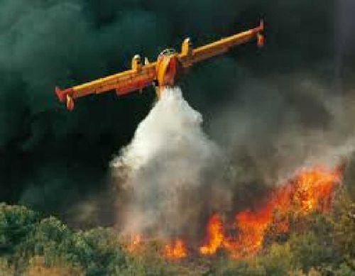 Setengah Juta Liter Air telah Dibomkan dari Langit Sumsel untuk Padamkan Kebakaran Hutan