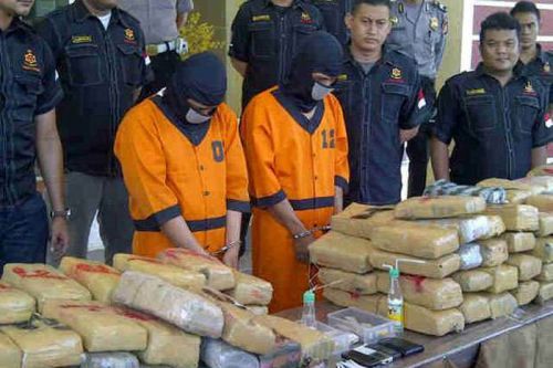 Bawa Ganja 25 Kilo dari Medan ke Padang, Bandar Besar Ditangkap