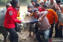 Siswa SD yang Diserang Buaya Sungai Batang Masang Agam Ditemukan Meninggal Dunia