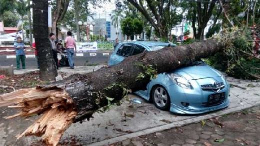 Angin Kencang di Padang Sebabkan Pohon Tumbang dan Hantam Toyota Yaris di Raden Saleh
