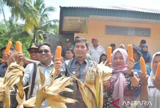 Pemko Sawahlunto Beri Bantuan Bibit dan Alsintan kepada Petani Jagung