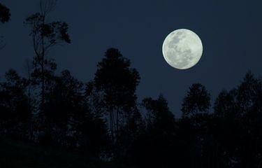 Malam Ini, Fenomena Langka Bulan Biru atau Blue Moon Bisa Saksikan tanpa Alat