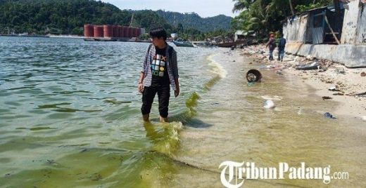 Diduga, Inilah Penyebab Air Laut di Padang Berubah Jadi Hijau