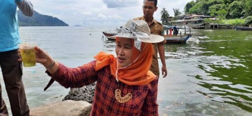 Air Laut di Padang Berubah Hijau, Kadar Oksigennya Jadi Berkurang
