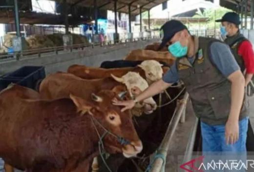 Dinas Pertanian Kabupaten Solok Perketat Pengawasan Pasar Ternak Muaro Paneh