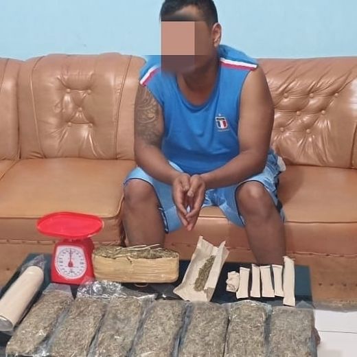Lagi, Bandar Narkotika Jenis Ganja Diciduk Polisi di Sianok Agam
