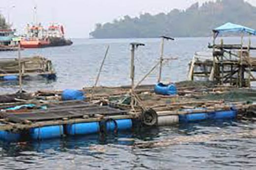 Pemkab Mentawai Yakinkan Nelayan KJA Dapat Pasokan Bibit