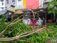 Hujan dan Angin Kencang, 7 Rumah di Padang Pariaman Tertimpa Pohon