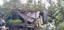 Hujan Badai, Rumah Warga Sei Geringging Roboh Ditimpa Pohon Petai