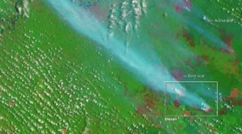 NASA Ungkap Foto Satelit yang Membuktikan Lahan Sengaja Dibakar Perusahaan Perkebunan