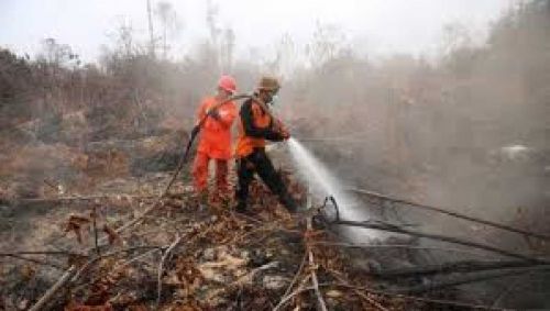 Kebakaran di Lahan Gambut, Titik Api di Kedalaman 3-4 Meter di Bawah Tanah, Sehingga Sangat Sulit Dipadamkan