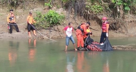 Tiga Hari Menghilang, Kakek 85 Tahun Ditemukan Tak Bernyawa di Dasar Sungai Batang Antokan
