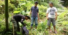 Harimau Berkeliaran Dekat Permukiman di Lubukbasung, BKSDA Pasang Kamera Penjebak