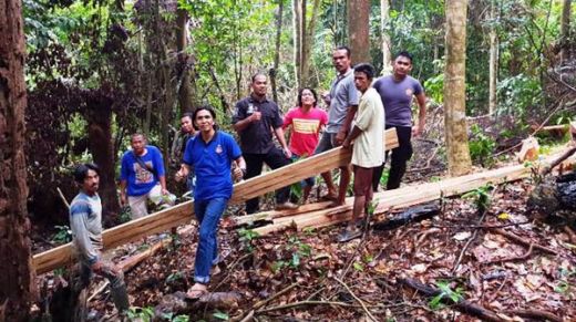 Dua Pelaku Illegal Logging Ditangkap di Hutan Cagar Alam Maninjau