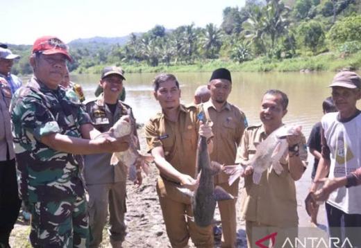 Ikan Lubuk Larangan Siambalau Talawi Hilie Sawahlunto Dipanen